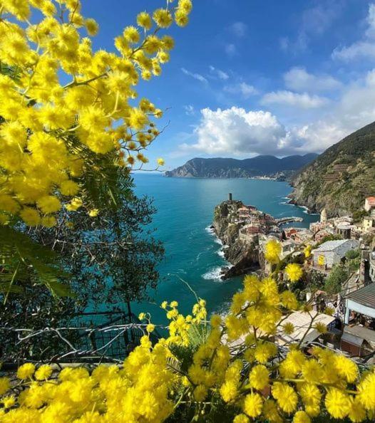 Appartamento Linda A Pochi Passi Dal Mare - 011030-Lt-0357 Vernazza Exteriér fotografie