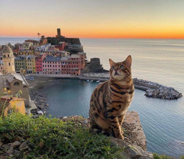 Appartamento Linda A Pochi Passi Dal Mare - 011030-Lt-0357 Vernazza Exteriér fotografie